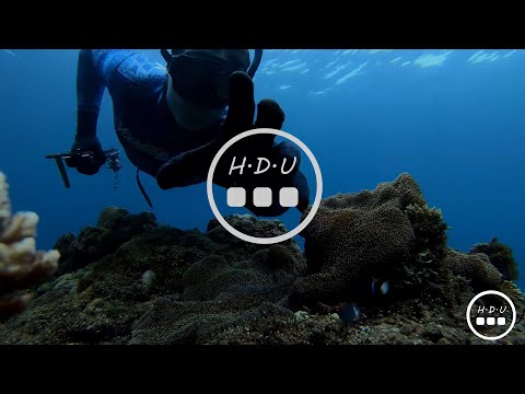 EPIC CAVE DIVE! We found a crystal clear cave dive on the Great Barrier Reef.