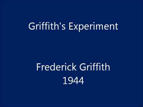 griffiths experiment