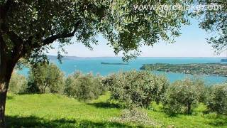 preview picture of video 'Agriturismo Conti Terzi - Salò - Lago di Garda Lake Gardasee'