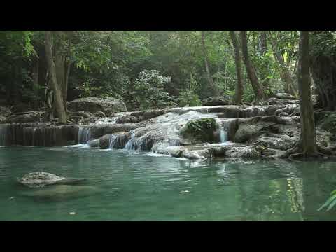 1 minute relaxing video with nature - A minute with nature/Flowing River