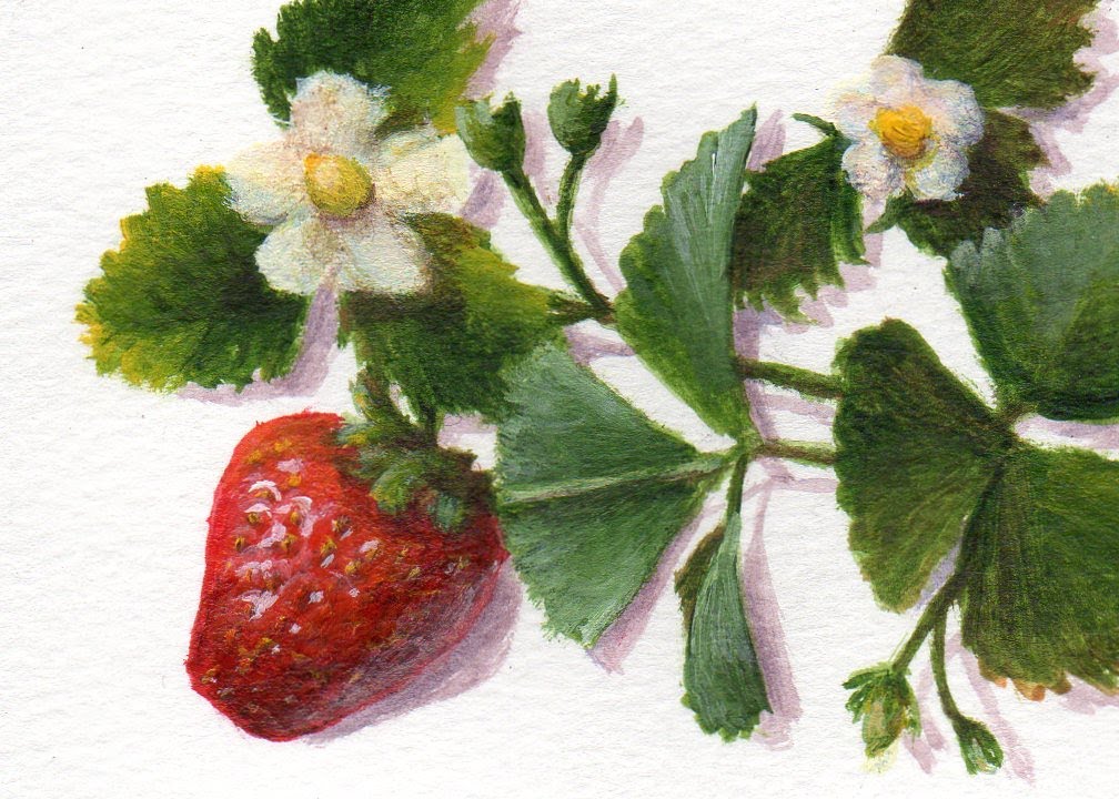 ✿Waltz of Strawberries✿ & Sweet Strawberry Art