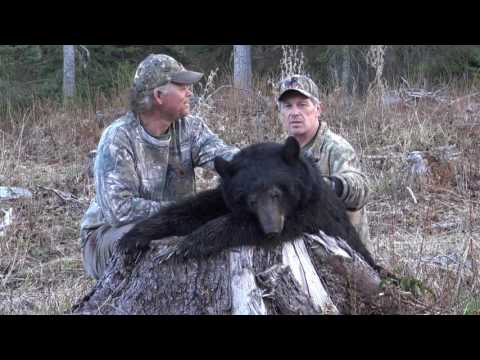 Black Bear Hunting Spring 2017 Episode 1