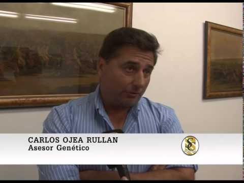 Nota de Fin de Año - Carlos Ojea Rullan - Asesor Genético