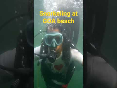 Snorkeling at Goa Taj hotel Beach #viralvideo #travel #goa #tourism #touristplace #Snorkeling