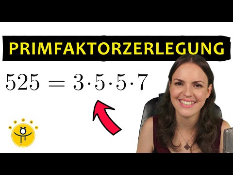 PRIMFAKTORZERLEGUNG bestimmen – Beispiel große Zahlen, Primzahlen