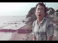 VT Flv