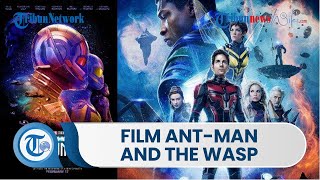 Sinopsis Film Ant Man and The Wasp: Quantumania, Tayang di Bioskop Mulai 15 Februari 2023