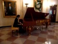 Alpin Hong Performs Cover Of Nina Koplan S Pink Purple Blue At White House
