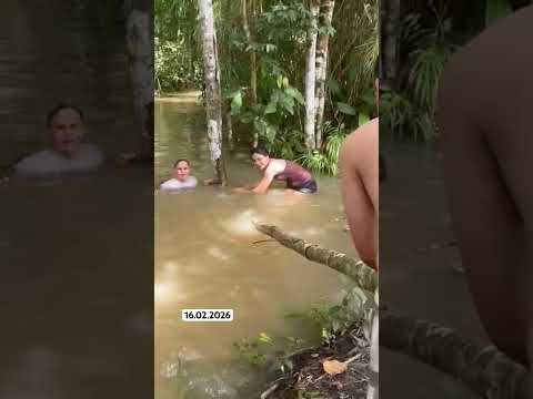 #amazonas #canutama #natureza #rio #garapé #mato #rondonia #sitio