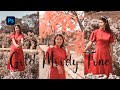 Premium Gold Color Grading In Photoshop Moody Color Grading Photoshop