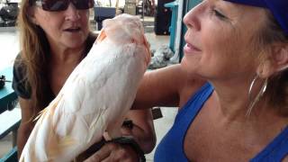 EVERY DAY IS A GOOD DAY  2015