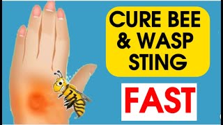 How to Survive a Bee or Wasp Sting I Tips for Avoiding & Treating Sting Reactions | First Aid