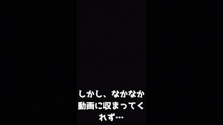 2023年12月14日　ふたご座流星群