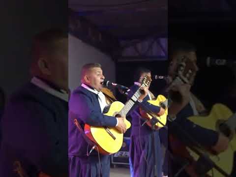 miel santiagueña en mailin santiago del estero