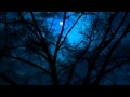 Lifescapes Moonlight  Sonata No. 14: Adagio Sostenuto (Beethoven)