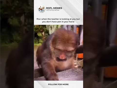 Oscar level acting 🤣🤣🤣