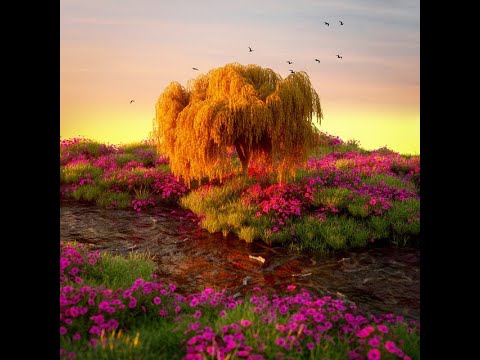 Bassline - Antoon ft. Ronnie Flex ( Instrumental )