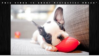 Craigslist+Chico | Craigslist Chico | #craigslistchico
