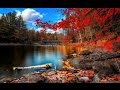 New Hampshire Franconia Fall Foliage_Midnight Sun Jackie Gleason