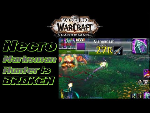 Clapping Demon Hunters & Tryhard Healers / Necro MM Spriest 2v2 / 9.1.5 WoW Shadowlands Arena