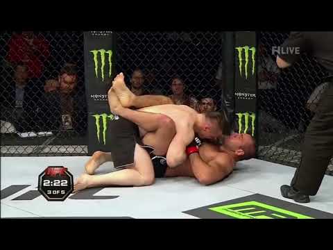Mirko Crocop vs Gabriel Gonzaga, Krakow 2015 ending