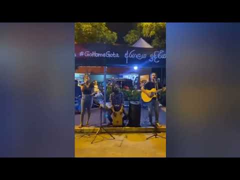 ගෝල්ෆේස් අරගලය ආදරයෙන් පුරවන දිනූපා | sri lankan viral song | Dinupa Kodagoda| gota go gama|koombiyo