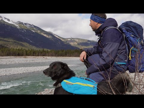 Lechweg zwischen Forchach und Stanzach I Wandern mit Hund #sundayfunday #hund #wandern