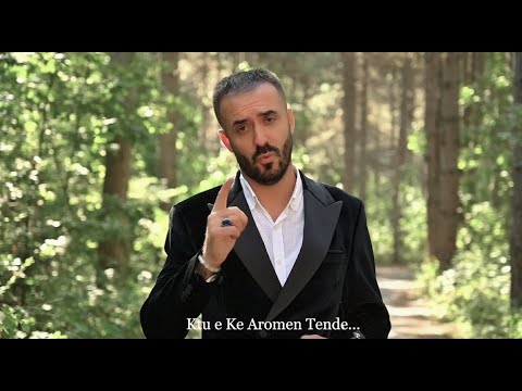 DRITON SHALA - MALLI