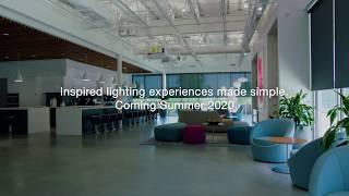 Lutron Video