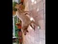 Video 2012 06 17 17 30 39