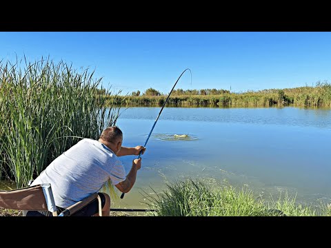 Pescuit la pluta cu mamaliga minune