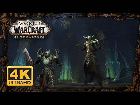 WOW SHADOWLANDS Gameplay Walkthrough 4K ᵁᴴᴰ 60ᶠᵖˢ ✔ TORGHAST Skolldus Hall Layer 6 SOLO DRUID