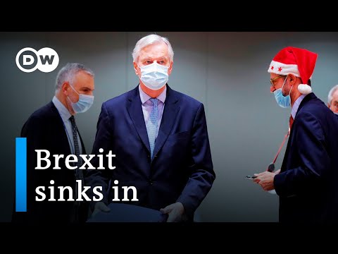 Brexit貿易協議。歐盟和英國的雙贏還是雙輸？| DW新聞 (Brexit trade deal: Win-win or lose-lose for EU & UK? | DW News)