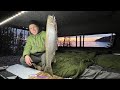 Giant Rainbow Trout Catch and Cook - Riverside Truck Camping