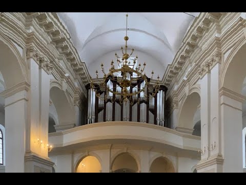 Prezentacja Organów - Tour of Stops - Organy Parafii pw. ZNMP oo. Franciszkanów w Zamościu