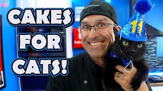 What's the BEST Way to Make a Pet-Friendly Cake for Your Furry Friend?