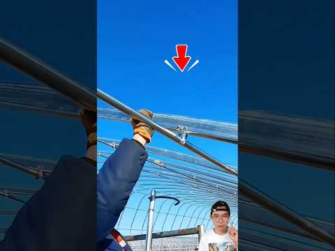 ติดตั้งหลังคาฟาร์ม #โครงหลังคา #ช่างเหล็ก #farm