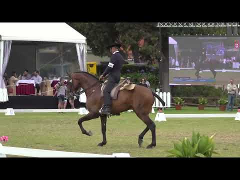 220619 4 Anos Ofensor