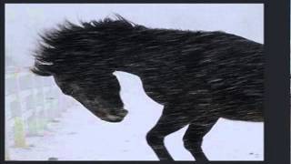 Sixteen Horsepower - Dead Run