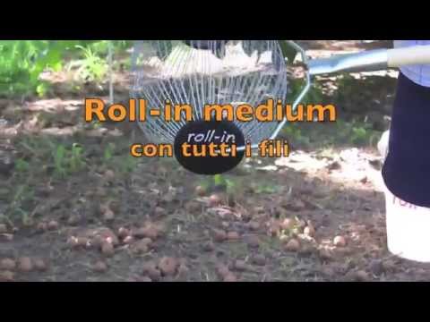 Raccogliere Noci e Castagne - Roll-In Medium