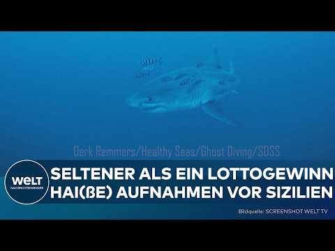Video Thumbnail: SIZILIEN: Hai(ße)-Sensation! Erstmals weißer Hai unter Wasser gefilmt