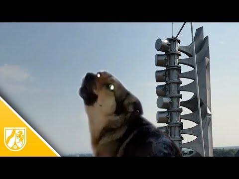 Landesweiter Warntag 2018: In NRW heulten nicht nur die Sirenen