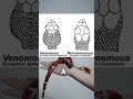 Snake 101 Decoding Venom How To Identify Venomous Snakes Animals Snake Snakes Shorts