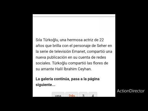 Noticias sobre Sila Turkoglu y Halil Ibrahim Ceyhan