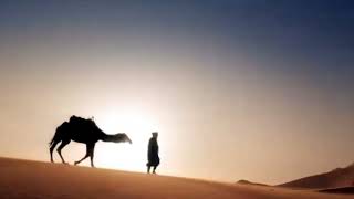 Alan Parsons Project ~ The Same Old Sun [Rare Video]