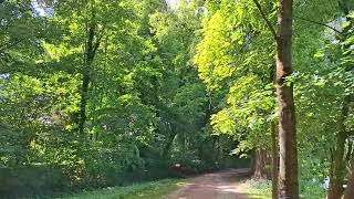 Herrnhuter Losung:31.05.2025