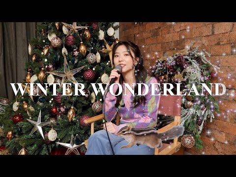 Video thumbnail for Winter Wonderland