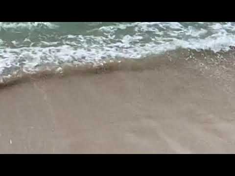 12.28.2018 Swimming in Waikiki A