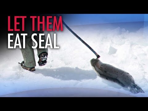 download lagu mp3 mp4 Buy Seal Meat Online, download lagu Buy Seal Meat Online gratis, unduh video klip Buy Seal Meat Online