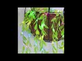 3*1m Rattan Leaves Icicle Curtain String Lights Christmas Fairy Lights Outdoor Indoor Decor